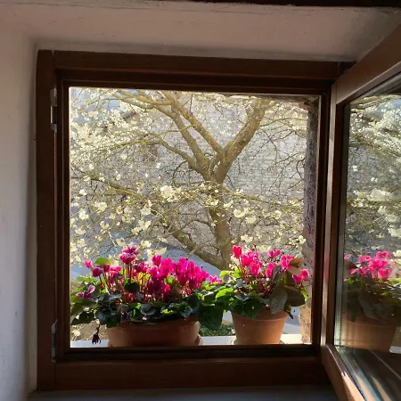 Gasthof Residenza Via Dante