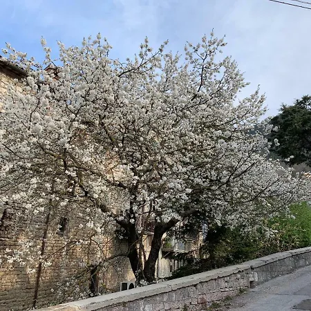 Residenza Via Dante 3* Gubbio