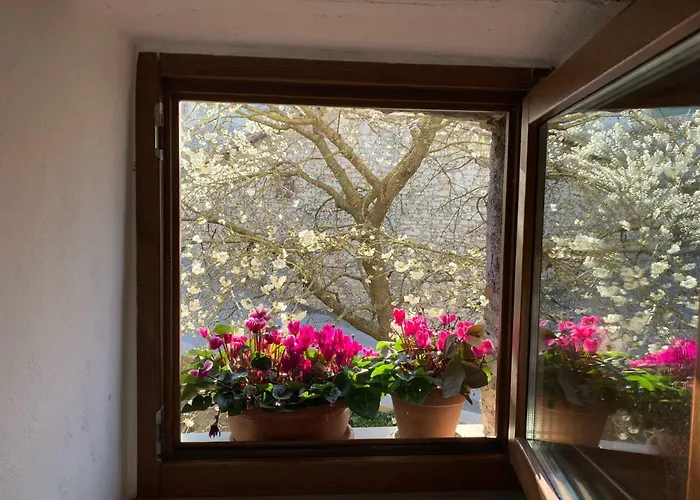 Guest house Residenza Via Dante