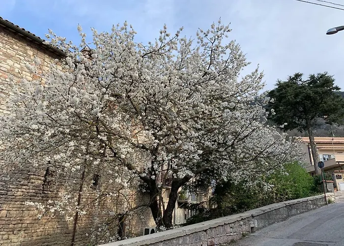 Residenza Via Dante 3* גוביו